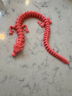 dragon fidget