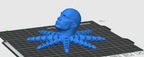 the rocktopus