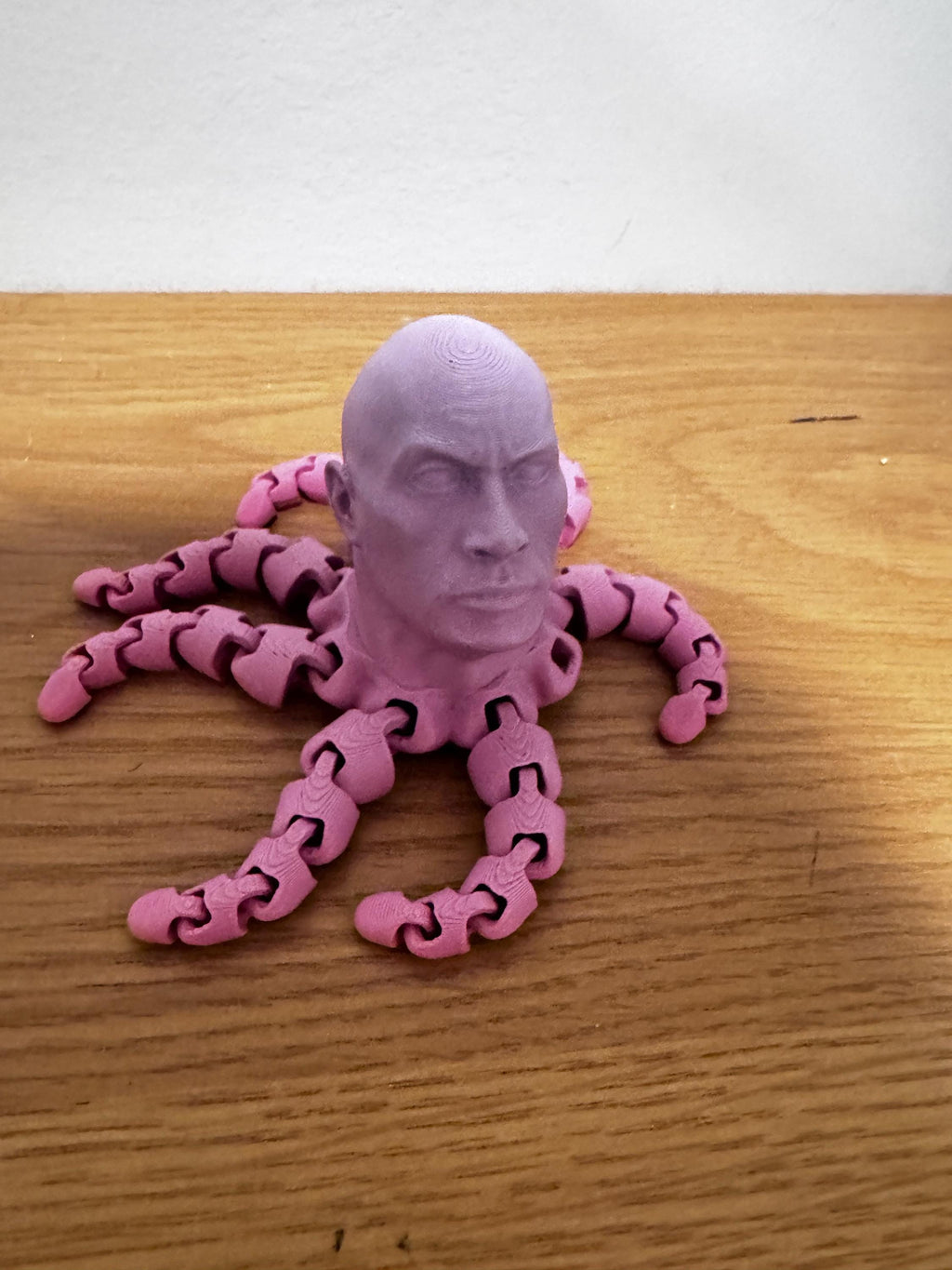 Rocktopus Fidget Toy