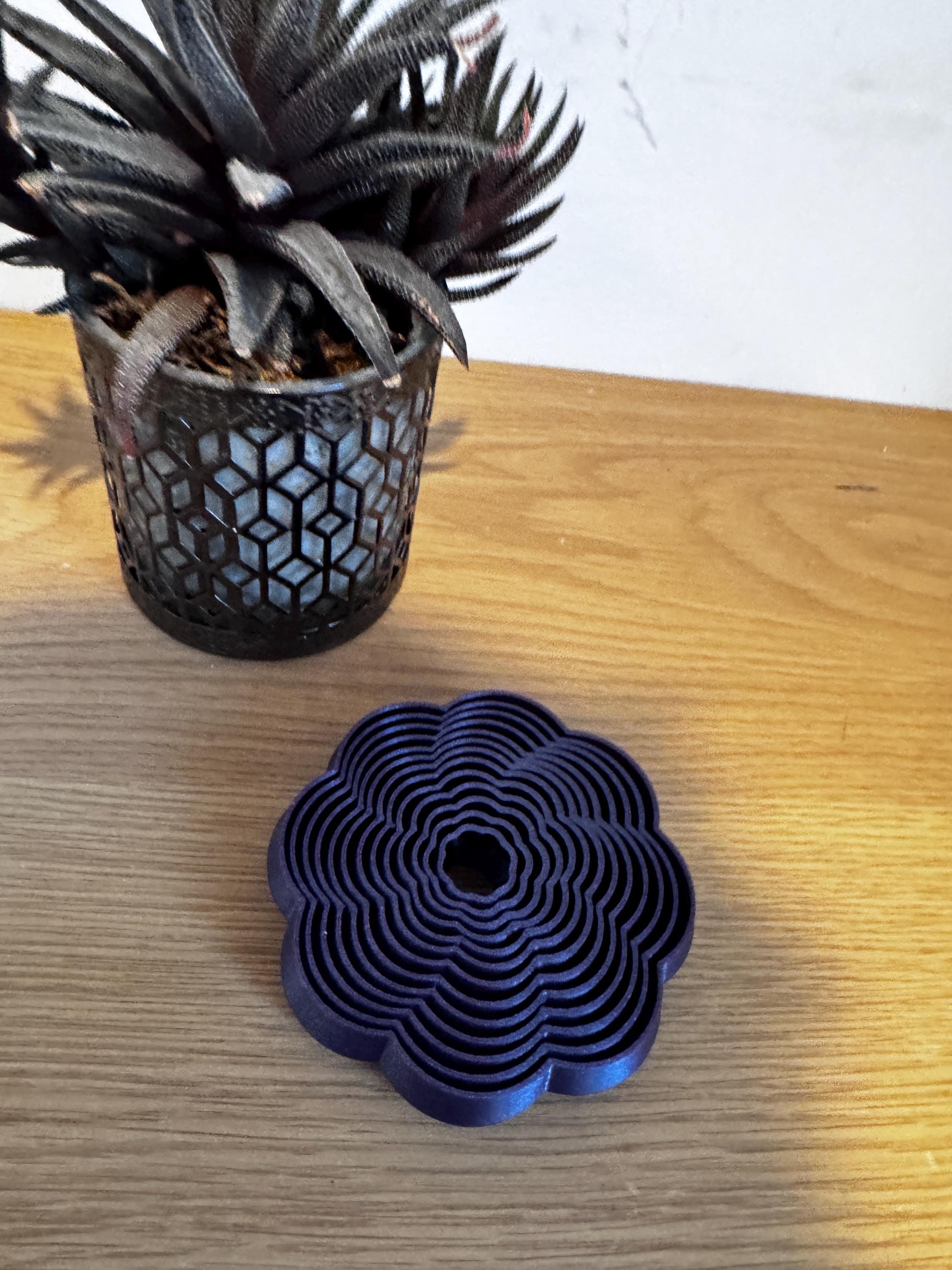 Flower Fidget Toy