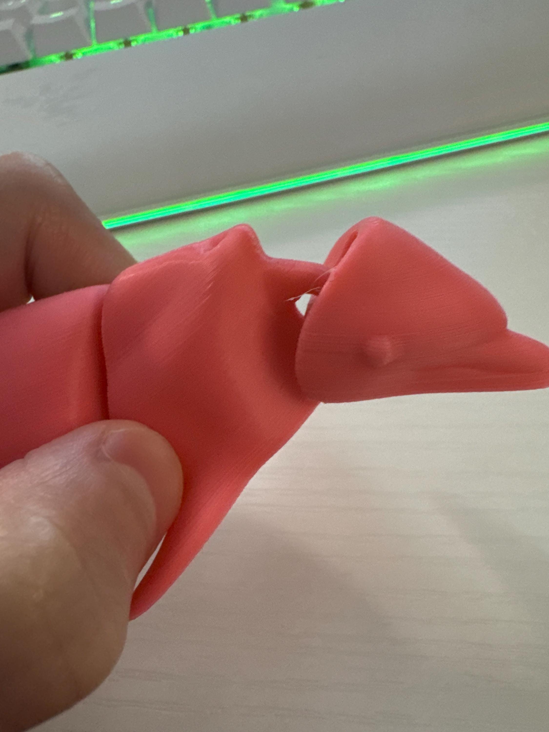 Dolphin flex Fidget toy